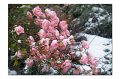 Winter M 03_2